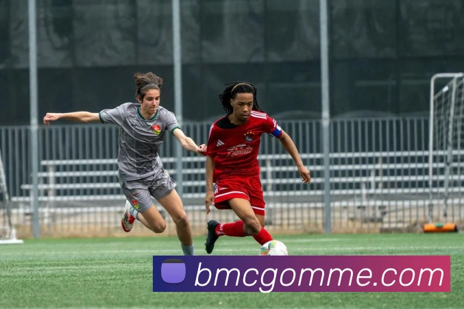 奖项图1